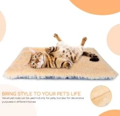 Nobleza Fluffy Benchkussen - Dierenkussen - Hondenkussen - Kattenkussen - Benchmat - Dierenmat - Hondenmat - Kattenmat - Crème - Maat L 16 Nobleza Fluffy Benchkussen - Dierenkussen - Hondenkussen - Kattenkussen - Benchmat - Dierenmat - Hondenmat - Kattenmat - Crème - Maat L -Dieren Product Winkel 1200x1156 24