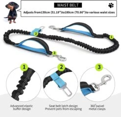 BOTC Looplijn Hond Met Heupriem Voor Hardlopen - Met Drinkbak Hond - Hondenriem - 1 Roll Poep Zakjes - Zwart 19 BOTC Looplijn Hond Met Heupriem Voor Hardlopen - Met Drinkbak Hond - Hondenriem - 1 Roll Poep Zakjes - Zwart -Dieren Product Winkel 1200x1159 15