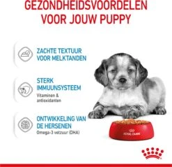 Royal Canin Shn Medium Puppy Pouch - Hondenvoer - 10 X 140 G 23 Royal Canin Shn Medium Puppy Pouch - Hondenvoer - 10 X 140 G -Dieren Product Winkel 1200x1159 29