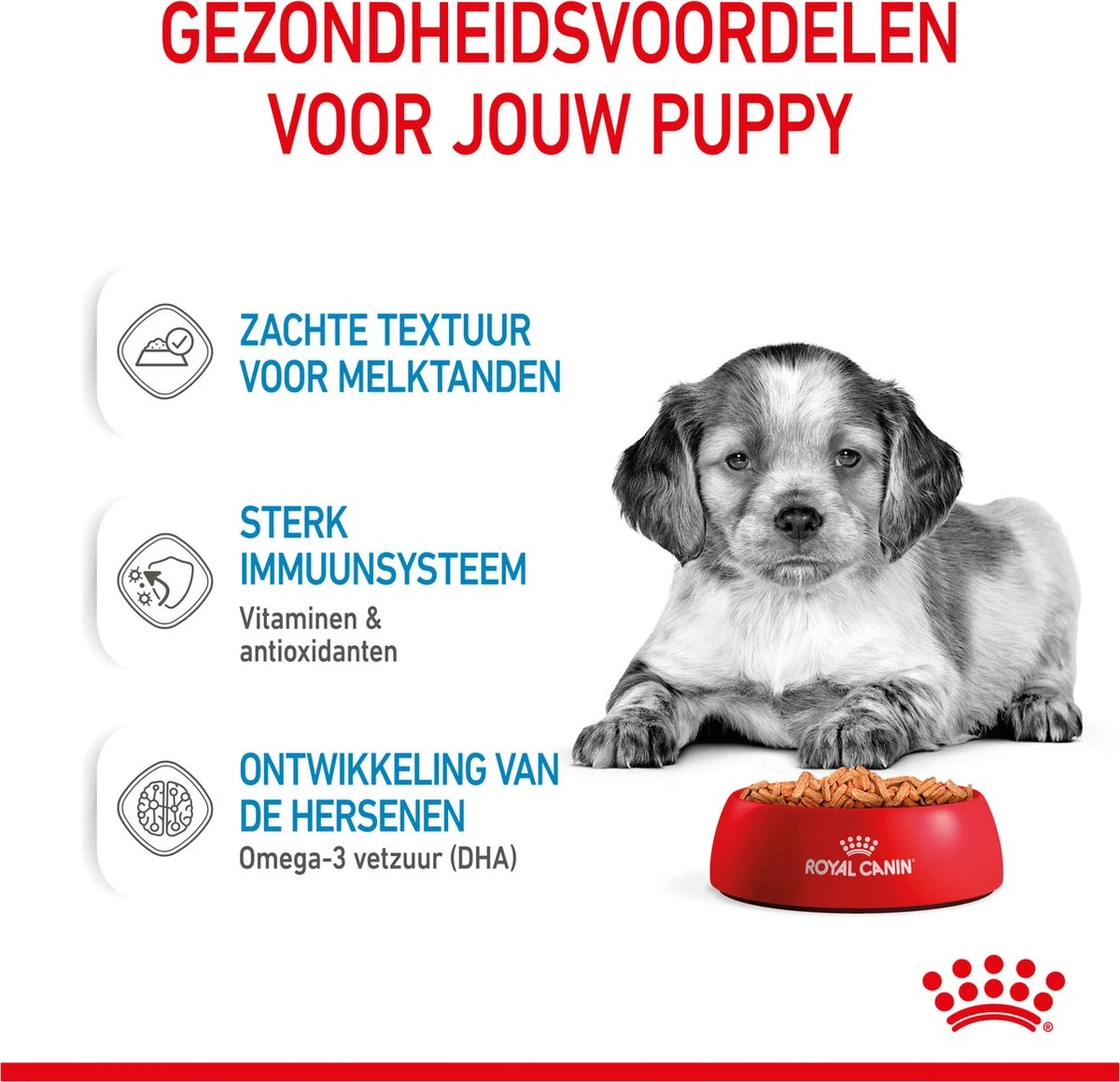 Royal Canin Shn Medium Puppy Pouch - Hondenvoer - 10 X 140 G 5 Royal Canin Shn Medium Puppy Pouch - Hondenvoer - 10 X 140 G - Afbeelding 5