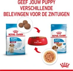 Royal Canin Shn Medium Puppy Pouch - Hondenvoer - 10 X 140 G 25 Royal Canin Shn Medium Puppy Pouch - Hondenvoer - 10 X 140 G -Dieren Product Winkel 1200x1159 30