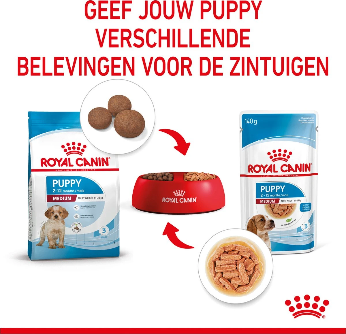 Royal Canin Shn Medium Puppy Pouch - Hondenvoer - 10 X 140 G 7 Royal Canin Shn Medium Puppy Pouch - Hondenvoer - 10 X 140 G - Afbeelding 7