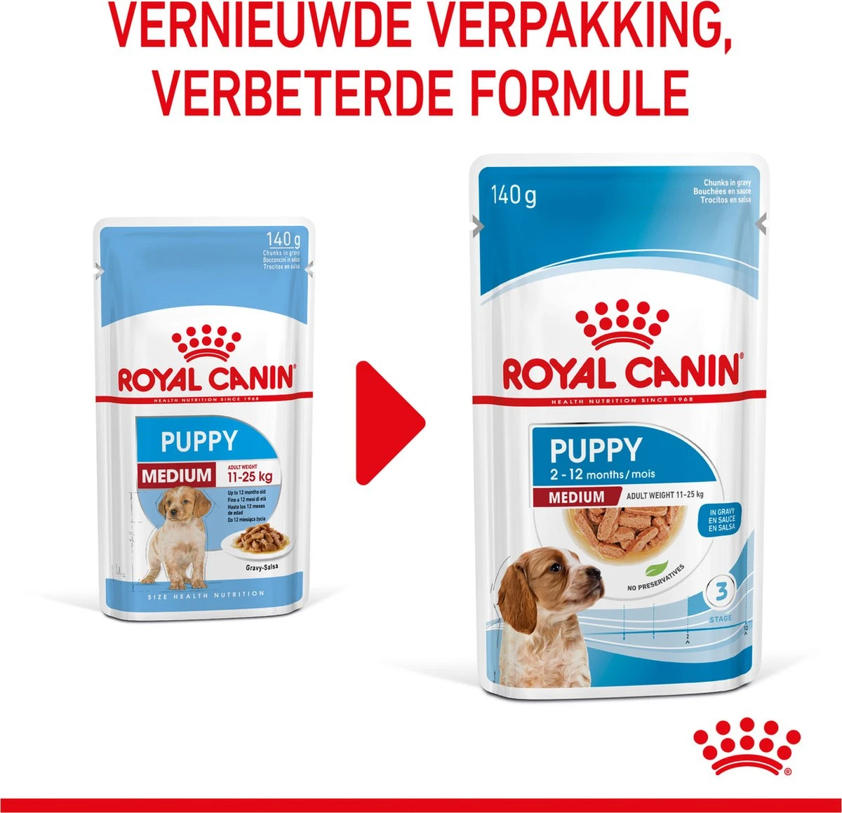 Royal Canin Shn Medium Puppy Pouch - Hondenvoer - 10 X 140 G 12 Royal Canin Shn Medium Puppy Pouch - Hondenvoer - 10 X 140 G - Afbeelding 12