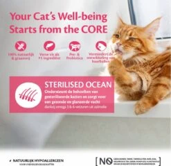 Wellness Core Grain Free Cat Sterilised - Zalm - Kattenvoer - 1.75 Kg -Dieren Product Winkel 1200x1160 2