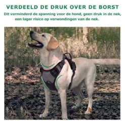 Mister Mill Hondentuigje 2x Klikgesp Maat XL Grijs - Anti-Trek Tuig Hondenharnas - Y Tuig Hond Reflecterend -Dieren Product Winkel 1200x1160 21