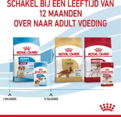 Royal Canin Shn Medium Puppy Pouch - Hondenvoer - 10 X 140 G 29 Royal Canin Shn Medium Puppy Pouch - Hondenvoer - 10 X 140 G -Dieren Product Winkel 1200x1160 28