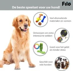 Filo Honden Speelgoed Set 14 Stuks - Hondenspeeltjes Knuffel - Hondenbal - Flostouw - Bot - Frisbee - Hondentouw - Hondenspeelgoed Intelligentie - Kauwspeelgoed Hond En Puppy - Bijtspeelgoed Hondenknuffel - Hondenspeeltje Met Piep -Dieren Product Winkel 1200x1160 34