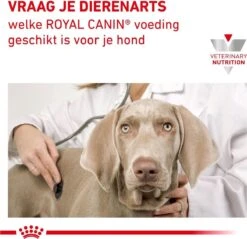 Royal Canin Hypoallergenic Kleine Hond - 3.5 Kg 20 Royal Canin Hypoallergenic Kleine Hond - 3.5 Kg -Dieren Product Winkel 1200x1161 26