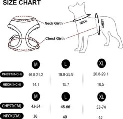 *** Katy`s Kattentuigje Zwart Maat M Met Looplijn - Kleine Hond - Kattenharnas - Honden Harnas - Kattenriem - Uitlaten - Van Heble® *** 8 *** Katy`s Kattentuigje Zwart Maat M Met Looplijn - Kleine Hond - Kattenharnas - Honden Harnas - Kattenriem - Uitlaten - Van Heble® *** -Dieren Product Winkel 1200x1162 5