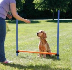 Trixie Dog Activity Agility Horde - Blauw/Oranje - 123 X 115 X 3 Cm -Dieren Product Winkel 1200x1163 17