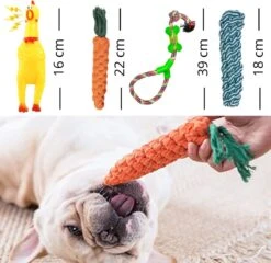 (Goedkoopste) Honden Speelgoed Set 15 Stuks Geschikt Voor Puppy's T/m Middelgrote Honden - Honden Kauw Speelgoed - 15 Stuks - Hondenspeeltjes - Intelligentie - Touw - Flostouw - Bijtring - Bal - Huisdieren Speelgoed -Dieren Product Winkel 1200x1165 21