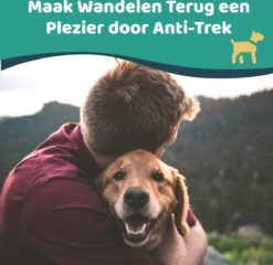 Mmoods Hondentuigje Grijs - Anti-Trek Tuig - Hondenharnas Voor Grote Honden- Reflecterende Halsband Hond - Hondenhalsband Maat L 15 Mmoods Hondentuigje Grijs - Anti-Trek Tuig - Hondenharnas Voor Grote Honden- Reflecterende Halsband Hond - Hondenhalsband Maat L -Dieren Product Winkel 1200x1166 29