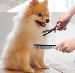 Petsify - Professionele 8-delige Huisdier Knipset - Effileerschaar Hond - Kam Hond - Schaar Hond - Katten Kam - Hondenschaar - Trimschaar Voor Honden - Kapperset - Zwart -Dieren Product Winkel 1200x1166 9