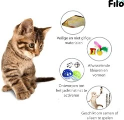 Filo Kattenspeelgoed Set 30 Stuks - Kattenspeeltje Kattentunnel - Kattenhengel - Kattenveertjes - Vis Met Kattenkruid - Kattenspeeltjes Intelligentie Kitten - Interactief Speelgoed Katten - Poezen Speeltjes -Dieren Product Winkel 1200x1167 2