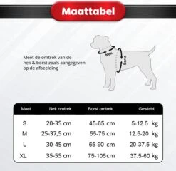 Purrr Fect Hondentuigje - Anti-Trek Tuig - Hondenharnas - Y Tuig Hond - Waterproof - Reflecterend - Verstelbaar - Maat M -Dieren Product Winkel 1200x1167 32