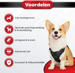 Purrr Fect Hondentuigje - Anti-Trek Tuig - Hondenharnas - Y Tuig Hond - Waterproof - Reflecterend - Verstelbaar - Maat M -Dieren Product Winkel 1200x1167 34