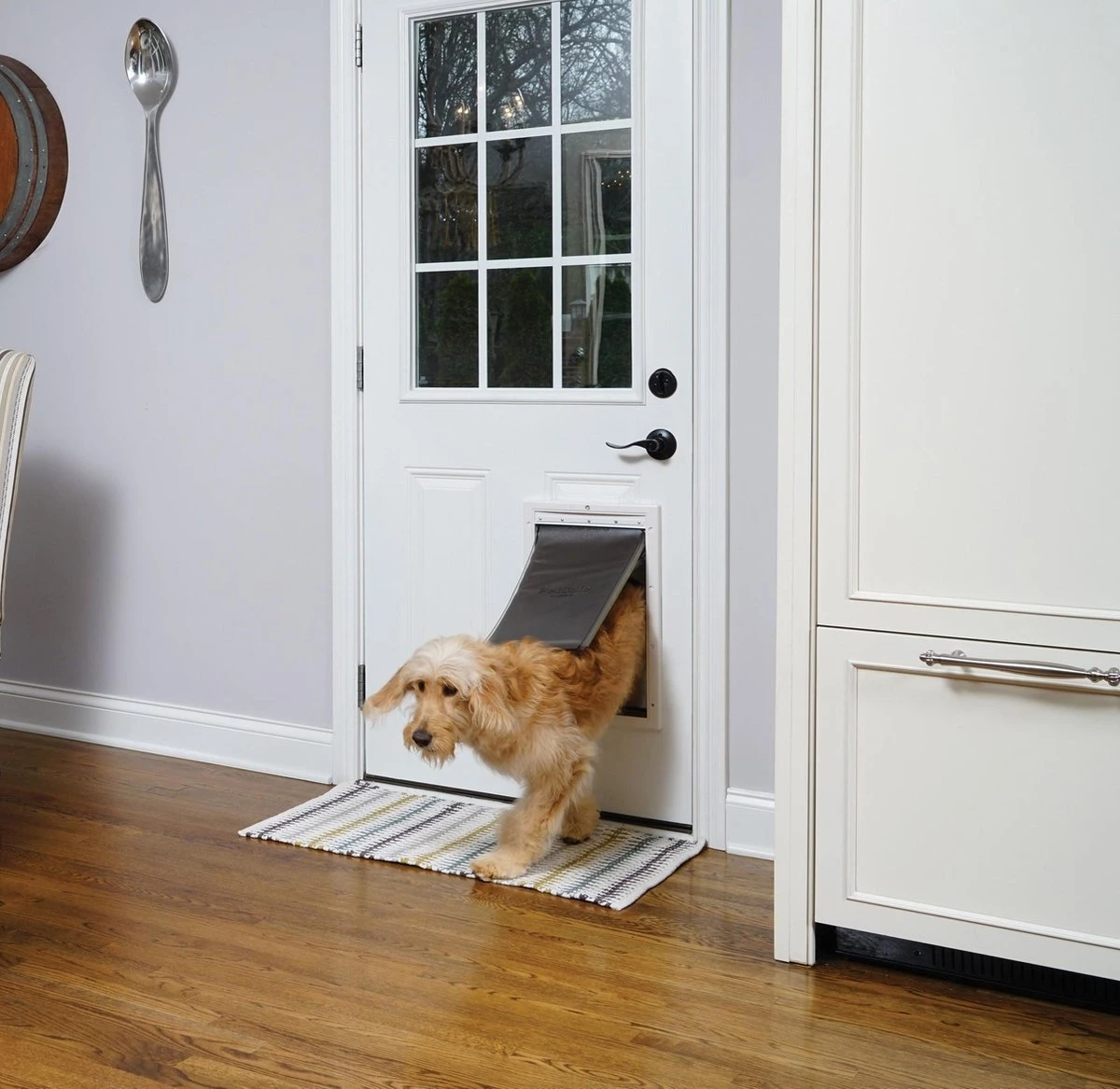 PetSafe Extreme Weather Door™ Small 4 PetSafe Extreme Weather Door™ Small - Afbeelding 4