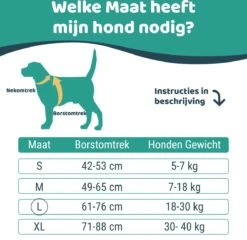 Mmoods Hondentuigje Grijs - Anti-Trek Tuig - Hondenharnas Voor Grote Honden- Reflecterende Halsband Hond - Hondenhalsband Maat L 12 Mmoods Hondentuigje Grijs - Anti-Trek Tuig - Hondenharnas Voor Grote Honden- Reflecterende Halsband Hond - Hondenhalsband Maat L -Dieren Product Winkel 1200x1167 42