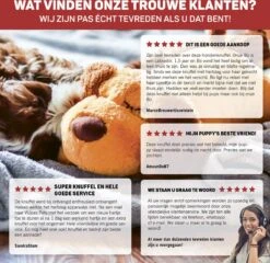 Vulpes Pets® Knuffel Hond Met Hartslag – Puppyknuffel - Hondenknuffel Voor Puppy - Snuggle Puppy - Knuffel Met Hartslag En Gratis Warmte Pad Speciaal Voor Puppy's -Dieren Product Winkel 1200x1167 47