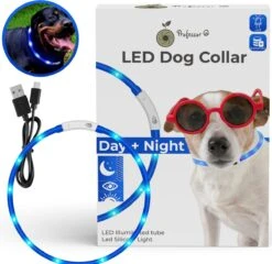Blauwe LED Halsband Voor Hond Small / Blauw Verlichte Halsband Hond / Lichtgevende Halsband Hond / Diverse Formaten Beschikaar! Oplaadbaar Via USB / USB Halsband LED -Dieren Product Winkel 1200x1167 55