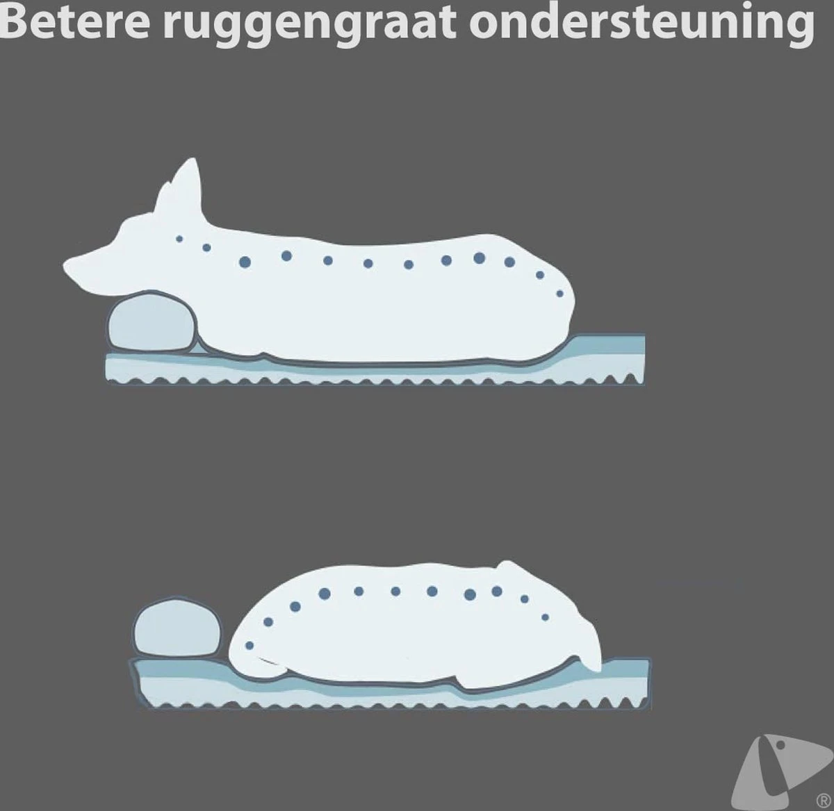 PETKIT® Deep Sleep Bed - Hondenmand - Kattenmand - Memory Foam - Orthopedisch - Maat M 5 PETKIT® Deep Sleep Bed - Hondenmand - Kattenmand - Memory Foam - Orthopedisch - Maat M - Afbeelding 5