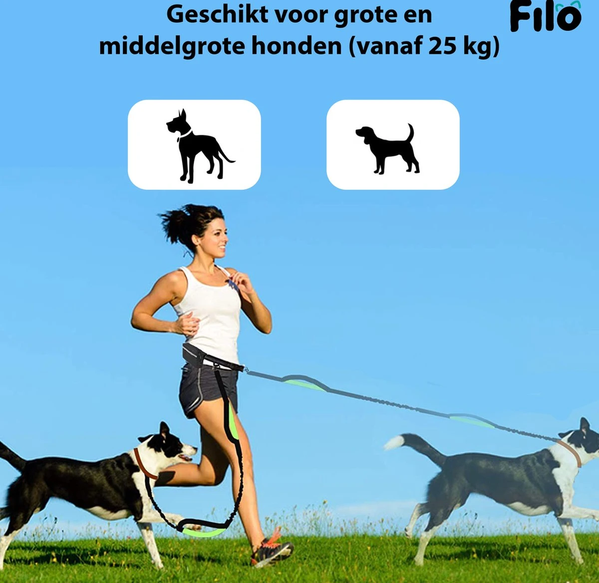 Filo Elastische Hondenriem Groot - Hardlopen En Wandelen - Hardloopriem Hond Handsfree Met Heuptasje - Looplijn Met Heupriem - Canicross Gordel Honden - Riemen - Heupgordel - Leiband 2 Filo Elastische Hondenriem Groot - Hardlopen En Wandelen - Hardloopriem Hond Handsfree Met Heuptasje - Looplijn Met Heupriem - Canicross Gordel Honden - Riemen - Heupgordel - Leiband - Afbeelding 2