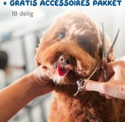 Pawwy Dieren Tondeuse Set Draadloos Voor Honden En Katten – Voor Dikke Vacht - Hondentondeuse – Hondentrimmer - Scheerapparaat - Goud -Dieren Product Winkel 1200x1170 13