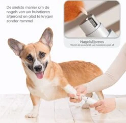 Revo Goods Professionele 4 In 1 Hondentondeuse Set -Ideaal Voor Honden En Andere Huisdieren - Slijper Inbegrepen -Draadloos - Ultra Stil 9 Revo Goods Professionele 4 In 1 Hondentondeuse Set -Ideaal Voor Honden En Andere Huisdieren - Slijper Inbegrepen -Draadloos - Ultra Stil -Dieren Product Winkel 1200x1170 14