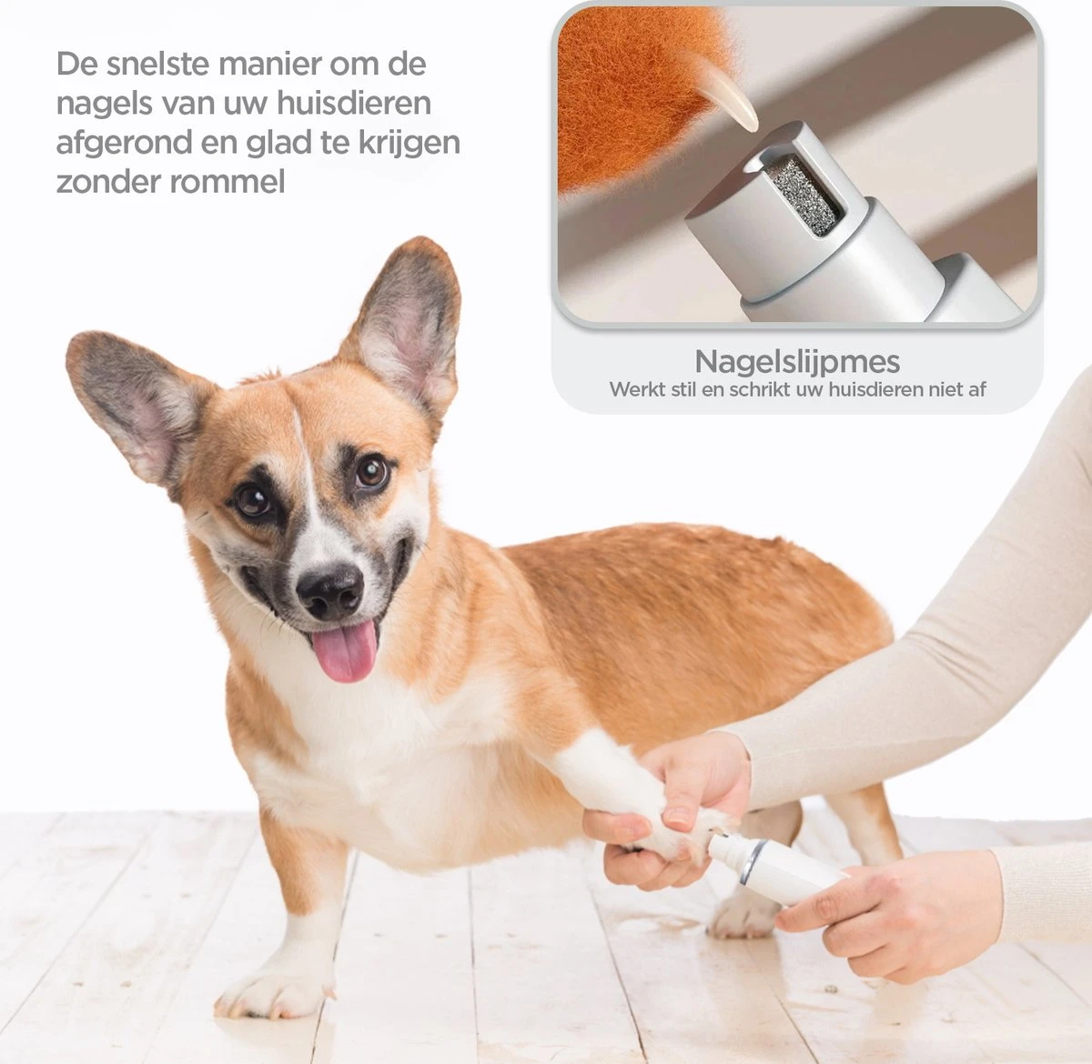 Revo Goods Professionele 4 In 1 Hondentondeuse Set -Ideaal Voor Honden En Andere Huisdieren - Slijper Inbegrepen -Draadloos - Ultra Stil 4 Revo Goods Professionele 4 In 1 Hondentondeuse Set -Ideaal Voor Honden En Andere Huisdieren - Slijper Inbegrepen -Draadloos - Ultra Stil - Afbeelding 4