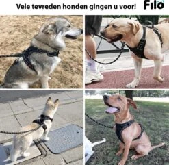 Filo Anti Trek Hondentuig S Met Hondenriem - Y Tuig Hond Verstelbaar - Hondentuigje Kleine Hond + Hondenlijn - Easy Walk Hondenharnas - Hondentuigjes - Leiband - Honden Tuigje - Puppy - Tuig - Hond -Dieren Product Winkel 1200x1170 21