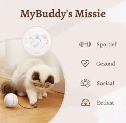 MyBuddy - Interactieve Zelf Rollende Bal - Kattenspeeltjes - Kattenspeelgoed - Bal Voor Katten - LED Lights - Speelgoed - USB - Roze 10 MyBuddy - Interactieve Zelf Rollende Bal - Kattenspeeltjes - Kattenspeelgoed - Bal Voor Katten - LED Lights - Speelgoed - USB - Roze -Dieren Product Winkel 1200x1171 1