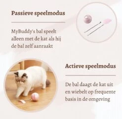 MyBuddy - Interactieve Zelf Rollende Bal - Kattenspeeltjes - Kattenspeelgoed - Bal Voor Katten - LED Lights - Speelgoed - USB - Roze 13 MyBuddy - Interactieve Zelf Rollende Bal - Kattenspeeltjes - Kattenspeelgoed - Bal Voor Katten - LED Lights - Speelgoed - USB - Roze -Dieren Product Winkel 1200x1171 2