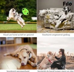 Filo Honden Speelgoed Set 14 Stuks - Hondenspeeltjes Knuffel - Hondenbal - Flostouw - Bot - Frisbee - Hondentouw - Hondenspeelgoed Intelligentie - Kauwspeelgoed Hond En Puppy - Bijtspeelgoed Hondenknuffel - Hondenspeeltje Met Piep -Dieren Product Winkel 1200x1171 25
