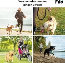 Filo Elastische Hondenriem Groot - Hardlopen En Wandelen - Hardloopriem Hond Handsfree Met Heuptasje - Looplijn Met Heupriem - Canicross Gordel Honden - Riemen - Heupgordel - Leiband 14 Filo Elastische Hondenriem Groot - Hardlopen En Wandelen - Hardloopriem Hond Handsfree Met Heuptasje - Looplijn Met Heupriem - Canicross Gordel Honden - Riemen - Heupgordel - Leiband -Dieren Product Winkel 1200x1171 9