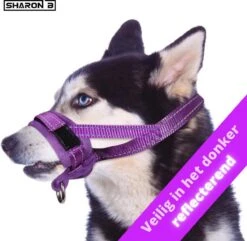 Sharon B Muilkorf Paars Maat M - Fleece - Wasbaar - Reflecterend -Dieren Product Winkel 1200x1173 11