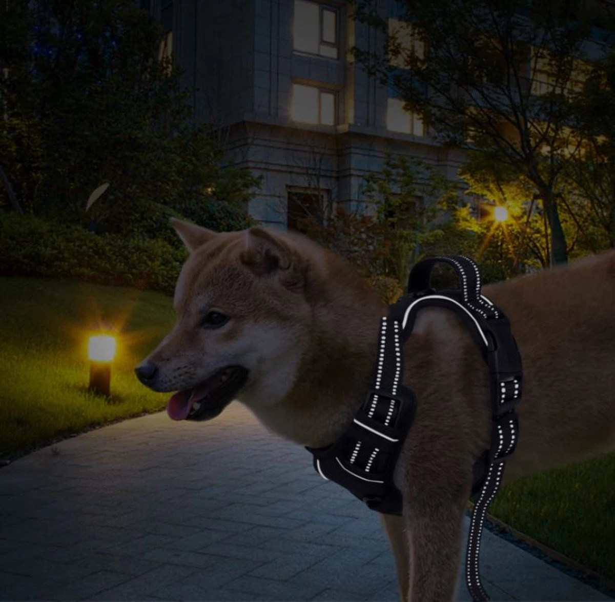 Nobleza 42ZHX - Hondenharnas - Hondentuigje - Anti Trek - M - Zwart 6 Nobleza 42ZHX - Hondenharnas - Hondentuigje - Anti Trek - M - Zwart - Afbeelding 6