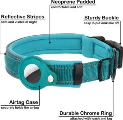 Merkloos Halsband Voor Honden - Geschikt Voor Apple Airtag - GPS Voor Honden - Lederen - Maat S M - Zwart - Reflecterend - Tracker -Dieren Product Winkel 1200x1175 29