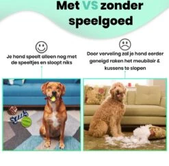 Petloverz – Honden Speelgoed Set – Honden Speeltjes – Knuffel - Speelgoed – Intelligentie – 15 Speeltjes -Dieren Product Winkel 1200x1177 28