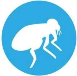 Bayer Bolfo Gold 400 Anti Vlooienmiddel - Hond - >25 Kg - 4 Pipetten -Dieren Product Winkel 1200x1180 21