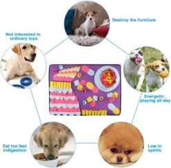 Snuffelmat Hond - Birthday Cake - XXL - Anti-Schrok - Slow Feeder -Dieren Product Winkel 1200x1181 13