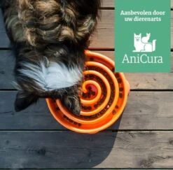 Anti Schrok Voerbak - Lichtblauw - Ø 28 Cm -Dieren Product Winkel 1200x1182 20