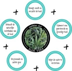 Greenfields Vacht Verzorging Set Voor Honden Shampoo, Conditioner & Droogshampoo 11 Greenfields Vacht Verzorging Set Voor Honden Shampoo, Conditioner & Droogshampoo -Dieren Product Winkel 1200x1182 8