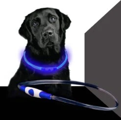 Led Dog Band USB | BEE SAFE -BLUE- | Dier Verlichting | Hondenband LED