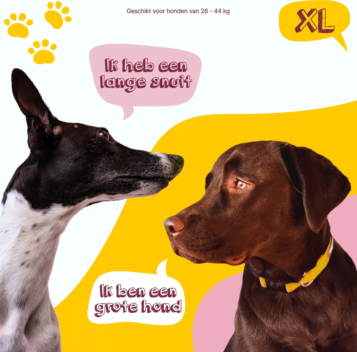 Eat Slow Live Longer Original Voerbak – Anti-schrok Voerbak – Slow Feeder Voor Honden – Anti-slip – Grijs – Ø20,5 Cm - Small/Medium – Geschikt Voor Kleine En Middelgrote Honden 5 Eat Slow Live Longer Original Voerbak – Anti-schrok Voerbak – Slow Feeder Voor Honden – Anti-slip – Grijs – Ø20,5 Cm - Small/Medium – Geschikt Voor Kleine En Middelgrote Honden - Afbeelding 5