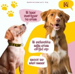 Eat Slow Live Longer Original Voerbak – Anti-schrok Voerbak – Slow Feeder Voor Honden – Anti-slip – Grijs – Ø20,5 Cm - Small/Medium – Geschikt Voor Kleine En Middelgrote Honden 11 Eat Slow Live Longer Original Voerbak – Anti-schrok Voerbak – Slow Feeder Voor Honden – Anti-slip – Grijs – Ø20,5 Cm - Small/Medium – Geschikt Voor Kleine En Middelgrote Honden -Dieren Product Winkel 1200x1184 26