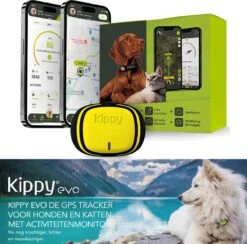 Kippy GPS Tracker Kat - GPS Tracker Hond - Activiteitentracker - Geel - Waterdicht - 10 Dagen Batterij - LED-Zaklamp