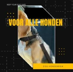 ZISU Autogordel Hond - Honden Autogordel - Hondengordel - Hondentuig - Verstelbaar En Elastische - Zwart - RVS -Dieren Product Winkel 1200x1185 16