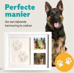 Honden Fotolijst Met Kleiafdruk - Gipsafdruk - Speelgoed Voor Dieren - Pootafdruk Hond - Puppy Speelgoed - Gipsafdruk Huisdier -Dieren Product Winkel 1200x1186 23