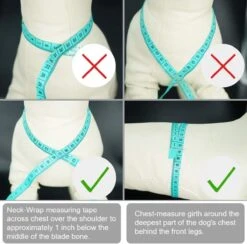 *** Katy`s Kattentuigje Zwart Maat M Met Looplijn - Kleine Hond - Kattenharnas - Honden Harnas - Kattenriem - Uitlaten - Van Heble® *** 9 *** Katy`s Kattentuigje Zwart Maat M Met Looplijn - Kleine Hond - Kattenharnas - Honden Harnas - Kattenriem - Uitlaten - Van Heble® *** -Dieren Product Winkel 1200x1186 7