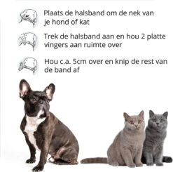 Merkloos Vlooienband Hond - 8 Maanden Bescherming - Vlooienband - Natuurlijk - Tekenband - Anti Vlooien - 63cm - Fit All Sizes - Vlooienbandjes Hond - Vlooien - Teken 11 Merkloos Vlooienband Hond - 8 Maanden Bescherming - Vlooienband - Natuurlijk - Tekenband - Anti Vlooien - 63cm - Fit All Sizes - Vlooienbandjes Hond - Vlooien - Teken -Dieren Product Winkel 1200x1188 23